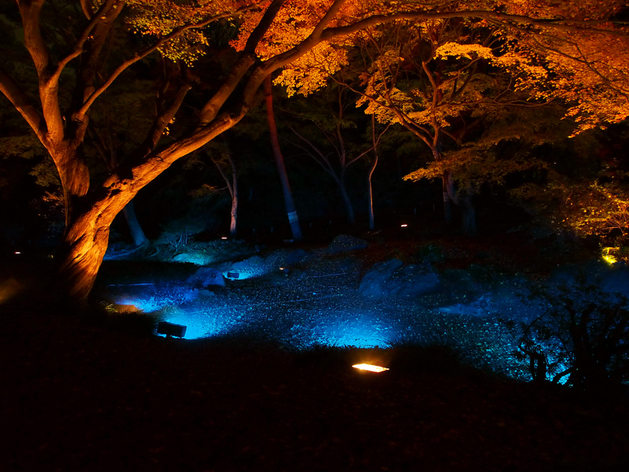 歴史と自然の美しさに魅了される 東京で 粋 な散歩デートを楽しめる庭園best3 Ikitoki